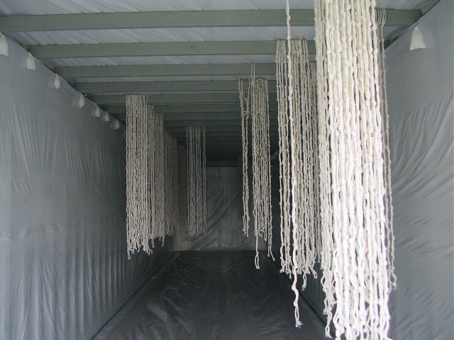 Container treo