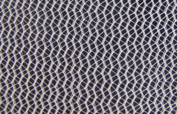 Tricot lưới