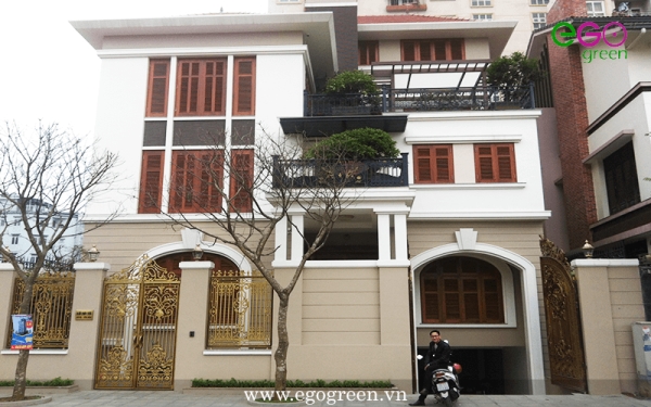 Thi công cảnh quan sân vườn