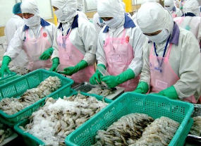 Cho thuê lao động chế biến thủy, hải sản
