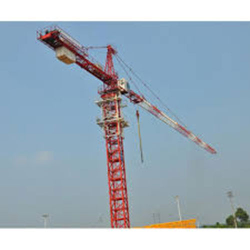Cây nhài ta