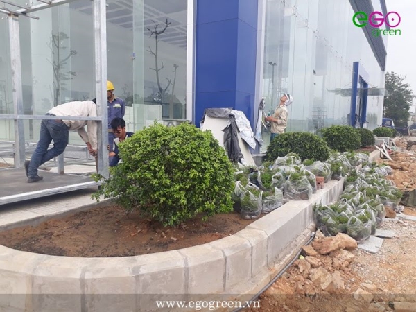Thiết kế cảnh quan công trình, dự án