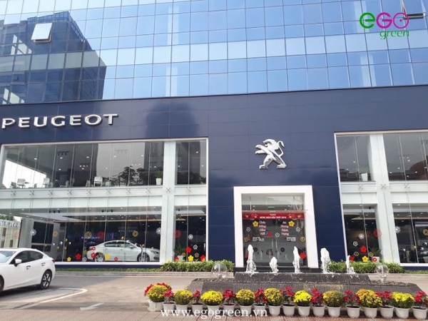 Thiết kế cảnh quan công trình, dự án