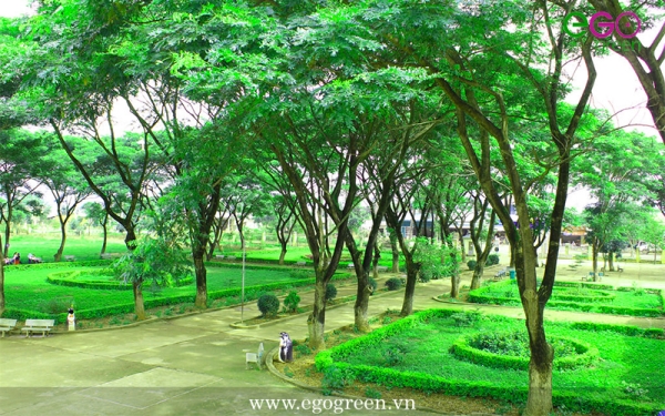 Thiết kế cảnh quan công trình, dự án