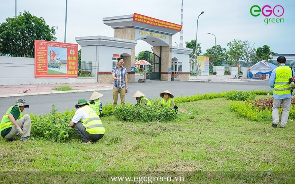 Thiết kế cảnh quan công trình, dự án