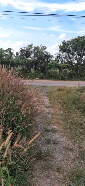 Nhà xưởng cho thuê
