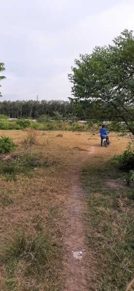 Nhà xưởng cho thuê