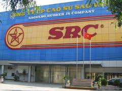 Công trình công ty cao su Sao Vàng