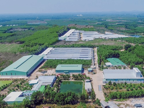Công ty TNHH Chăn Nuôi Tafa Việt