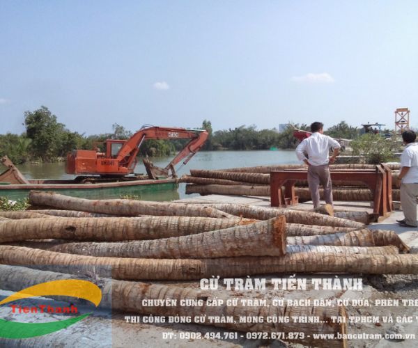Cừ dừa