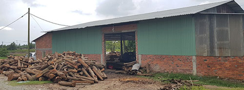 Gỗ cừ tràm