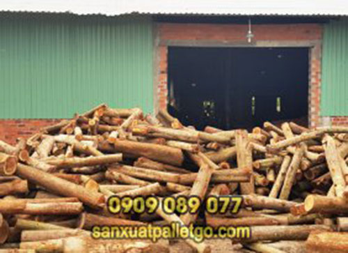 Gỗ cừ tràm