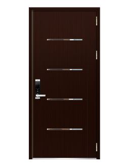 Cửa thép sơn vân gỗ LM WD V10