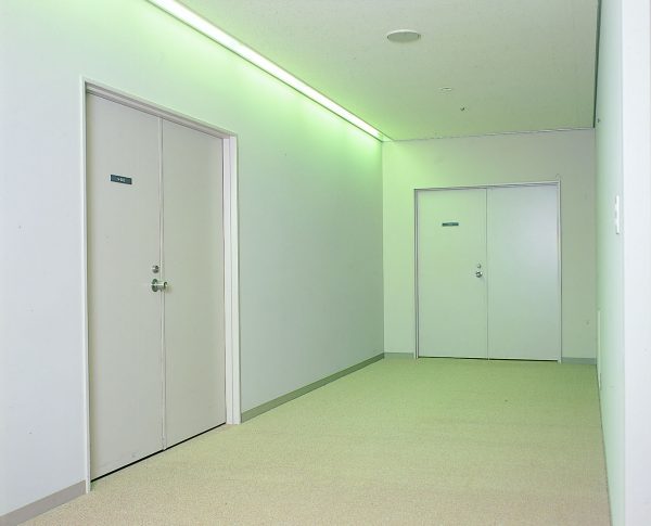 Cửa chống cháy chung cư WA3C - CC
