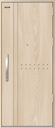 Cửa thép chống cháy phủ Laminate HS Steel 909