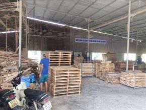 Cưa xẻ gỗ