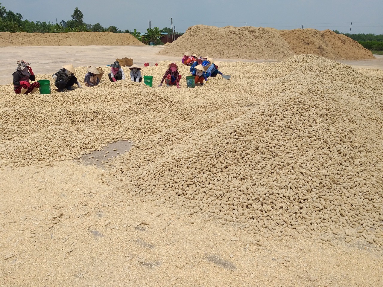 Cùi bắp