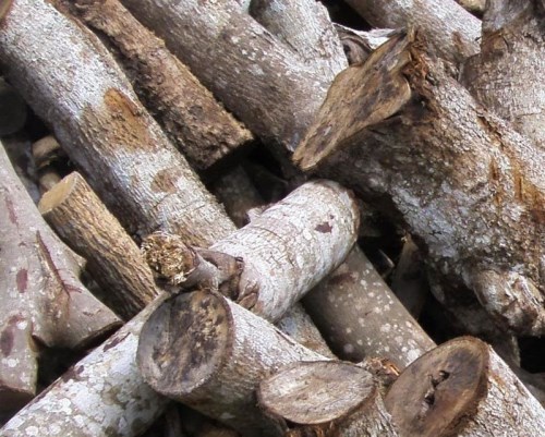 Củi đốt lò