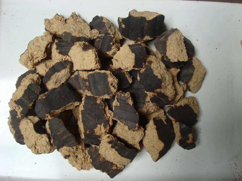 Củi trấu đập rice husk pieces