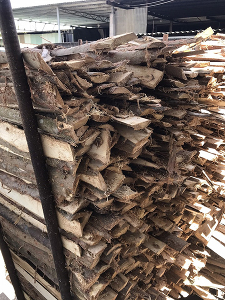 Củi bìa