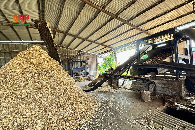 Củi trấu, viên nén gỗ, dăm gỗ, mùn cưa
