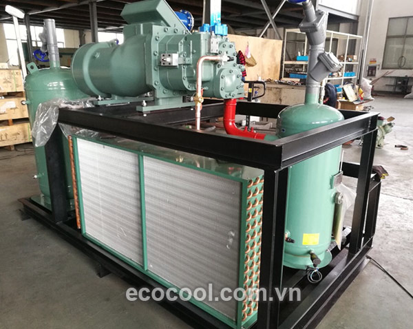 Cụm máy nén trục vít 2 cấp