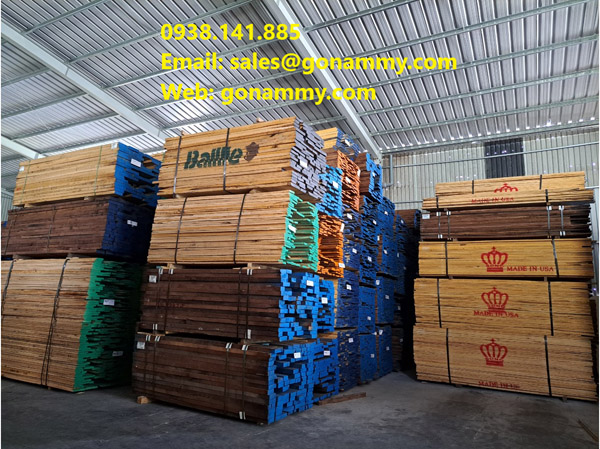 Hình ảnh nhà xưởng gỗ xẻ Nam Mỹ