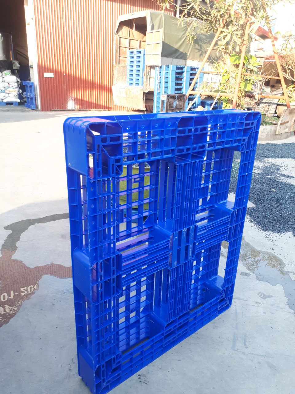 Pallet nhựa