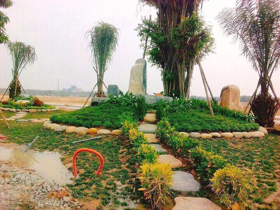 Dự án đất khác