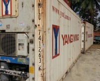 Container lạnh đã sử dụng