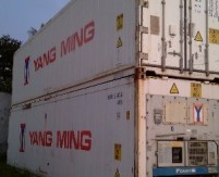 Container lạnh đã sử dụng