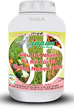 Đa dụng