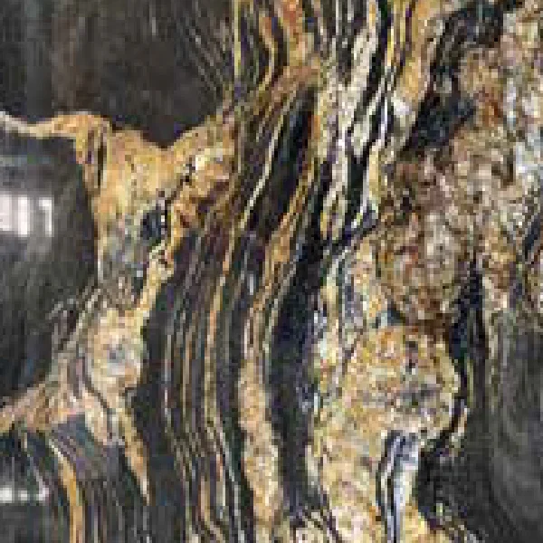 Đá hoa cương GRANITE BLACK TAURUS