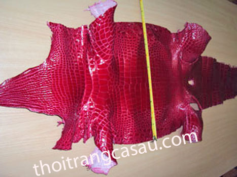 Da cá sấu nguyên con