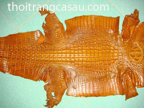 Da cá sấu nguyên con