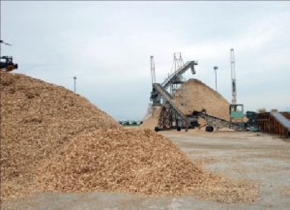 Dăm gỗ tràm