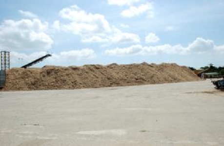 Dăm gỗ xuất khẩu