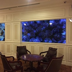 Dán decal quảng cáo