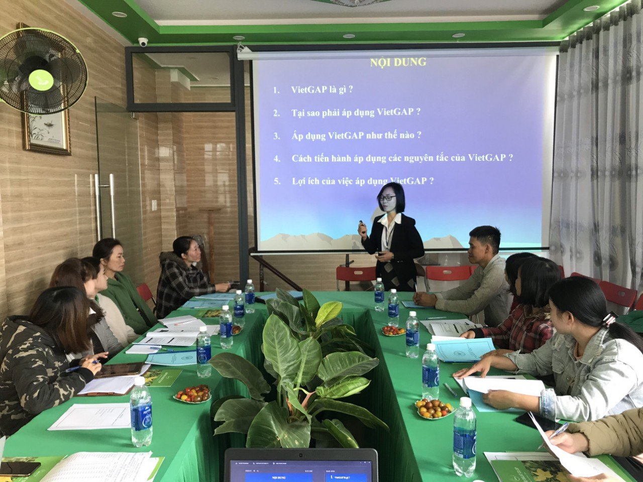 资质或荣誉图片