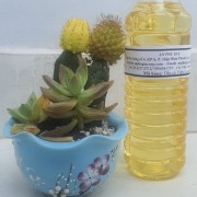 Dầu cá tinh luyện
