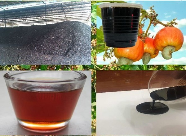 Dầu vỏ điều