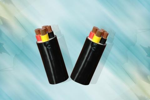 Dây cáp hạ thế CCV