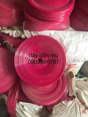 Dây dẫn mủ