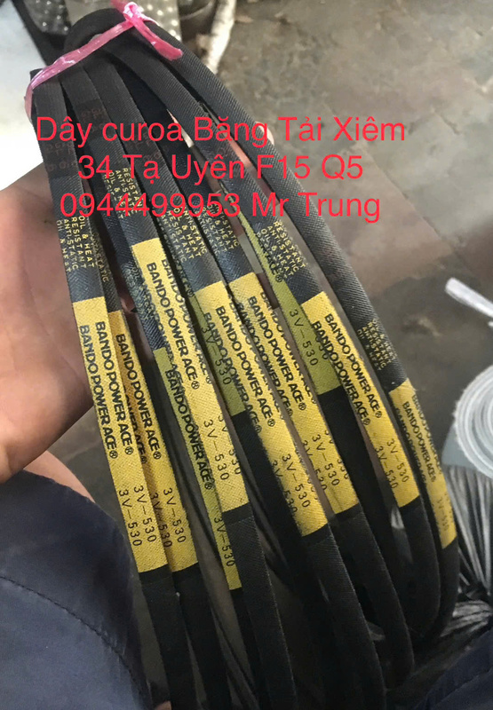 Dây Curoa