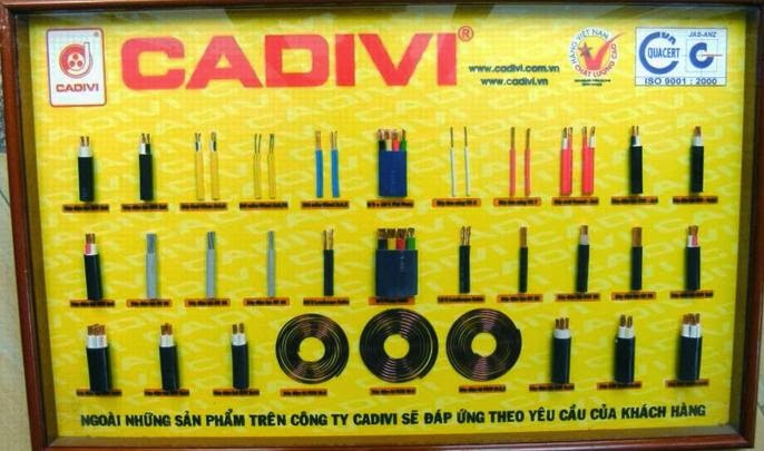 产品与服务