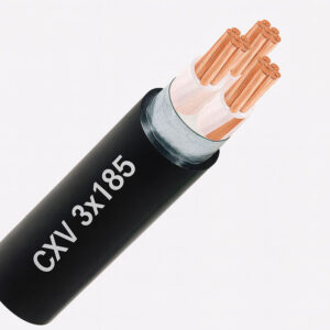 Dây cáp điện 3 lõi Cadivi CXV 3x185 mm2 0.6/1KV
