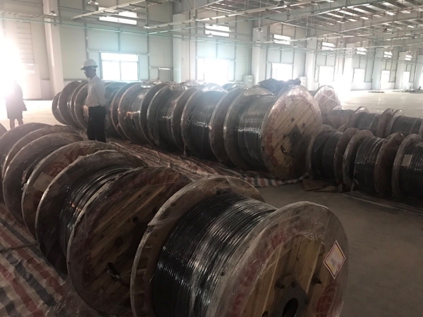 Dây cáp điện