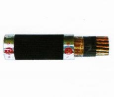 Dây cáp điều khiển Taya