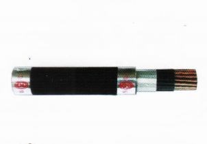 Dây cáp điều khiển Taya