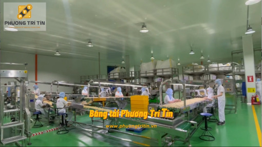Dây chuyền băng tải vận chuyển và kiểm tra hạt điều